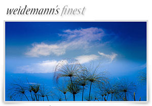 weidemann’s finest – photos