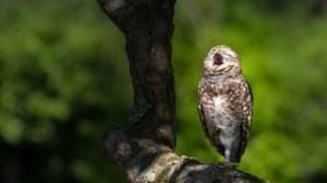 Neue Fotos